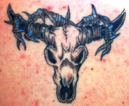 Barbed Wire Cow Skull Tattoo